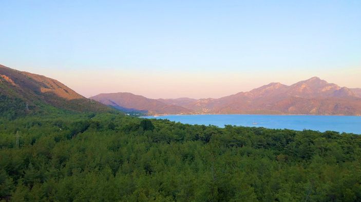 Muğla'da yanan ormanlar kendi kendine yeşeriyor