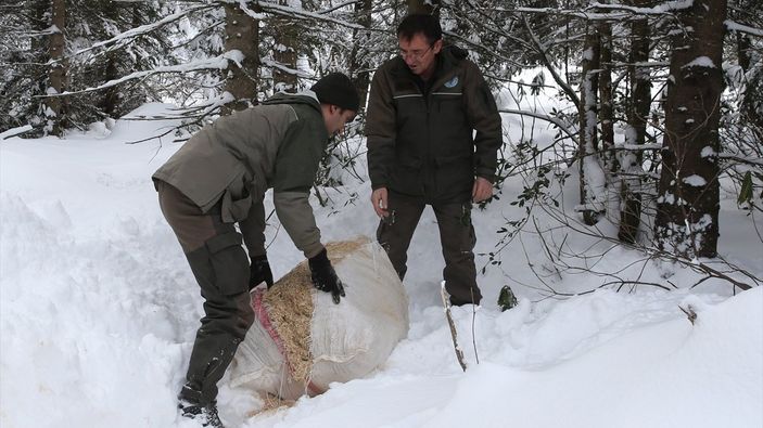 Giresun'da yaban hayvanları için doğaya yem bırakıldı