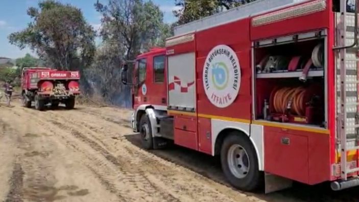 Tekirdağ'da anız yangını ormana sıçradı
