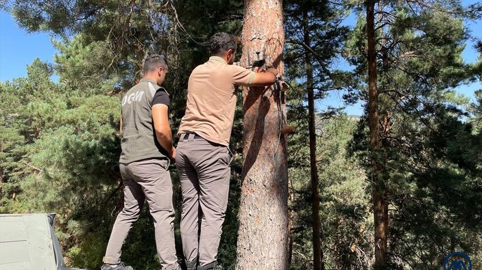 Kars'ta ormanlar yapay zeka fotokapanlarla korunuyor