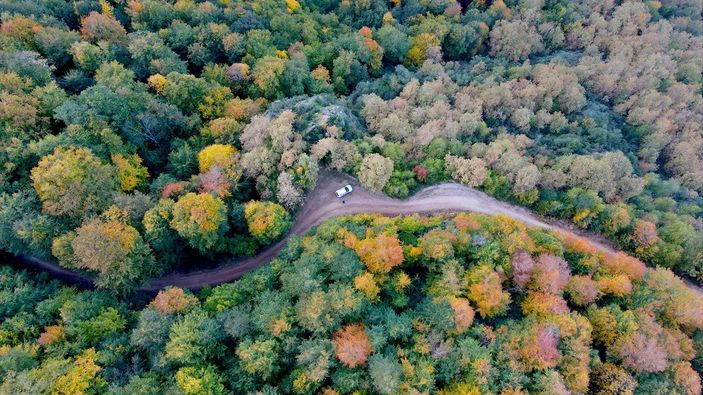 Kastamonu'daki Loç Vadisi'nde sonbahar şöleni