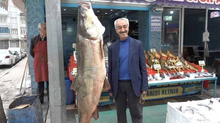 Elazığ'da avladığı 128 kiloluk 'Fırat turnası'nı iş yerinde sergiliyor