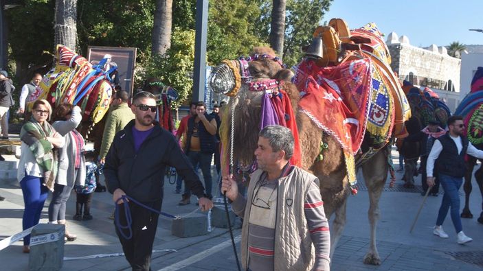Bodrum'daki turistler sokağa çıkan develerle fotoğraf çektirdi