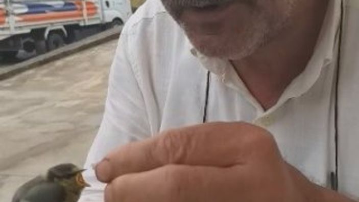 Rizelinin kuş sevgisi kamerada
