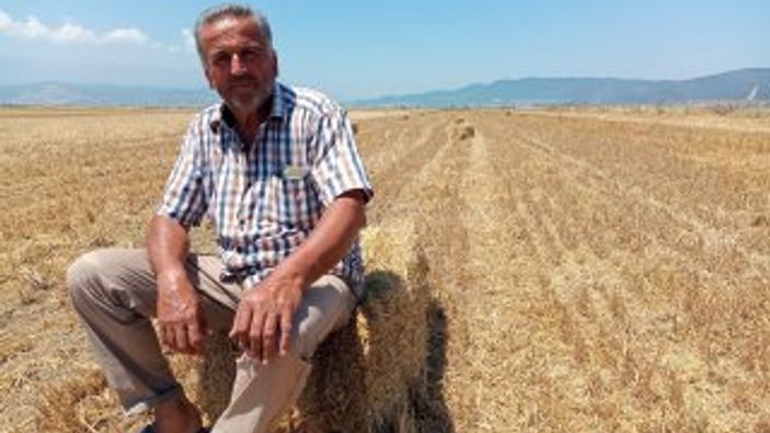 Bursa'da, samanın fiyatı cep yakıyor