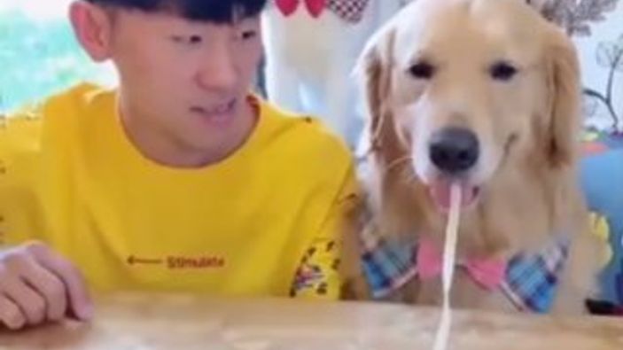 Köpeğiyle erişte yeme yarışı yapan adam