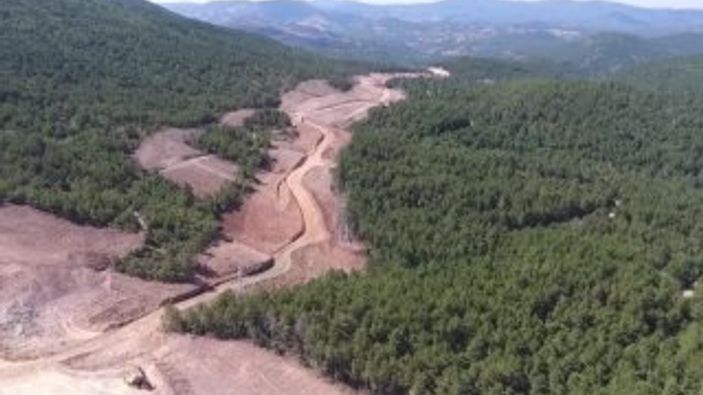 Kaz Dağları'ndaki altın madeni için yapılan ağaç katliamı
