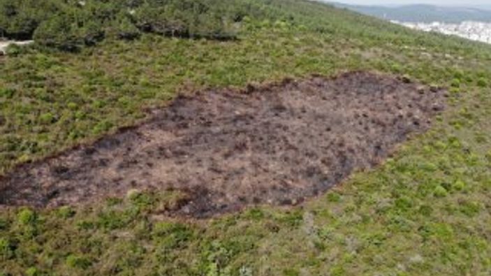 Kundaklanan Aydos Ormanı'ndaki tahribat görüntülendi