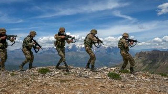 Türkiye'ye girmeye çalışan 2 terörist yakalandı