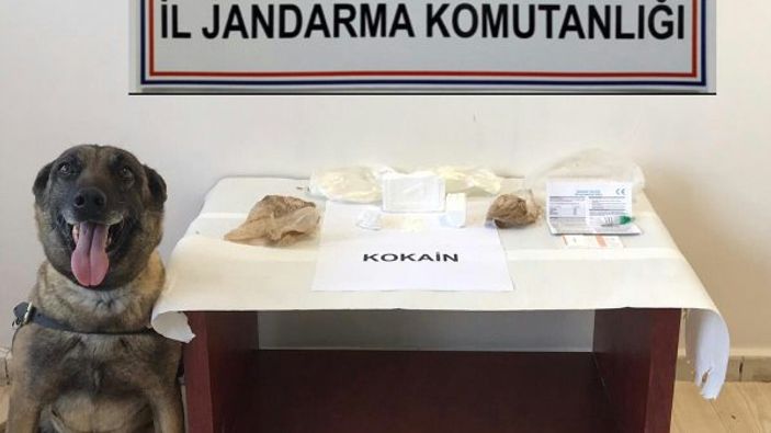 Bolu'da yolcu otobüsünde 360 gram kokain yakalandı