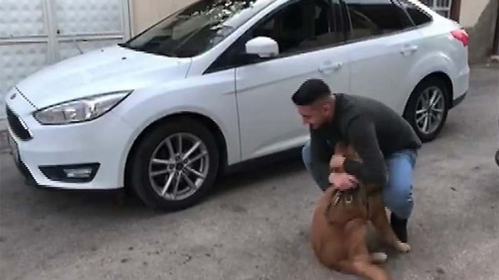 Kahramanmaraş'ta sahibine kavuşan köpeğin sevinci