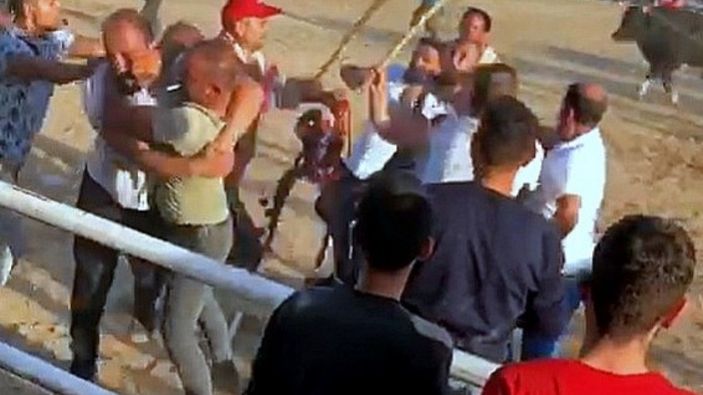 Muğla'daki boğa güreşinde tekmeli sopalı kavga