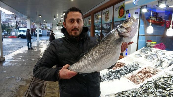 Ordu'da 8 kiloluk levrek 2 bin liraya satılıyor