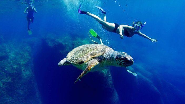 İztuzu Plajı'nda caretta carettalara ‘dokunmayın’ uyarısı