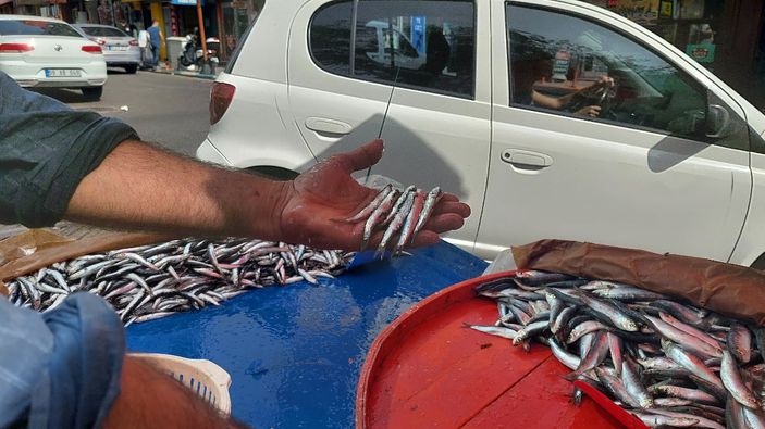Tekirdağ'da hamsi bollaştı! Kilo fiyatı düştü