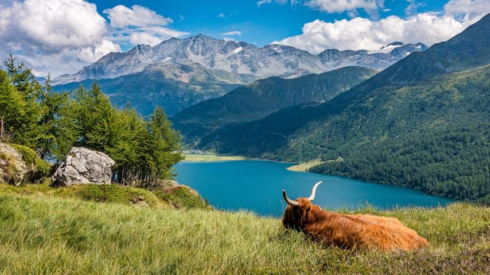 İsviçre'de yeraltı sularının yarısında zararlı kimyasallar bulundu