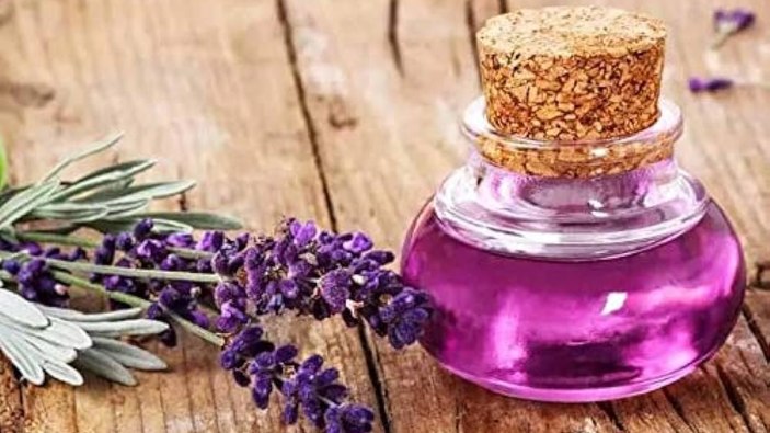 Lavanta yağı nedir? Lavanta yağının faydaları nelerdir?