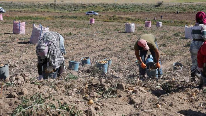 Hasadı başladı; Üretene 2 lira, tüketene 15 lira...