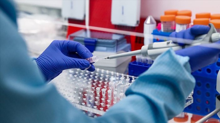 Genetik test şirketi iflas etti! DNA verileri tek tek satılacak...