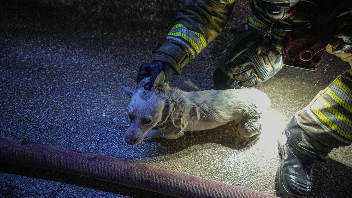 Bursa'da yanan binadaki köpeği itfaiye ekipleri kurtardı