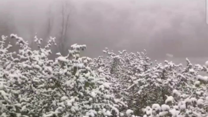 Zonguldak'ta nisan ayında kar sürprizi