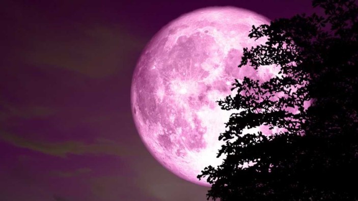 Pembe Ay nedir, ne zaman görülecek 2025? Pembe Ay'ın saati...