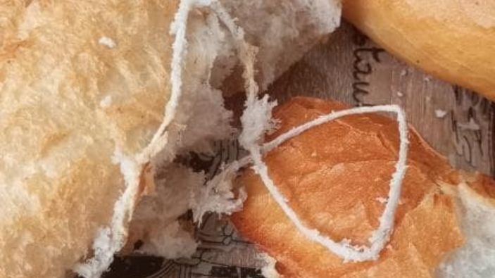 Elazığ'da ekmeğin içinden çıkan pes dedirtti