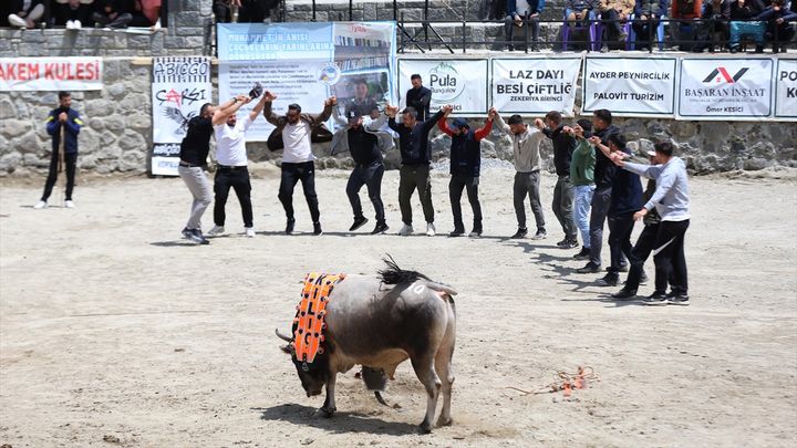 Rize'de Çamlıhemşin Ayder Kültür, Sanat ve Doğa Festivali
