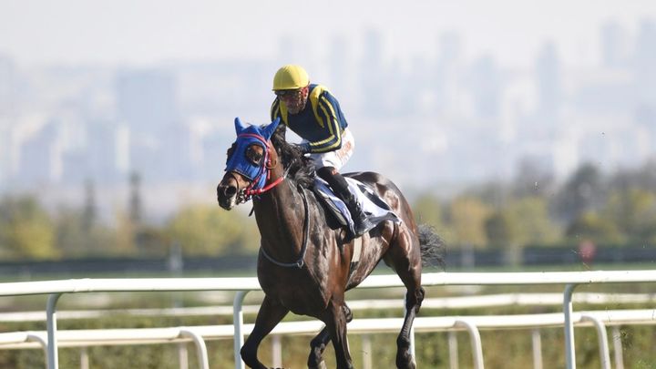 87. Cumhurbaşkanlığı Koşusu'nda Grande Flusso zaferi