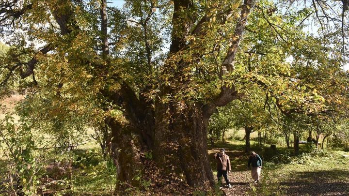 Türkiye’nin doğal mirası güvence altında