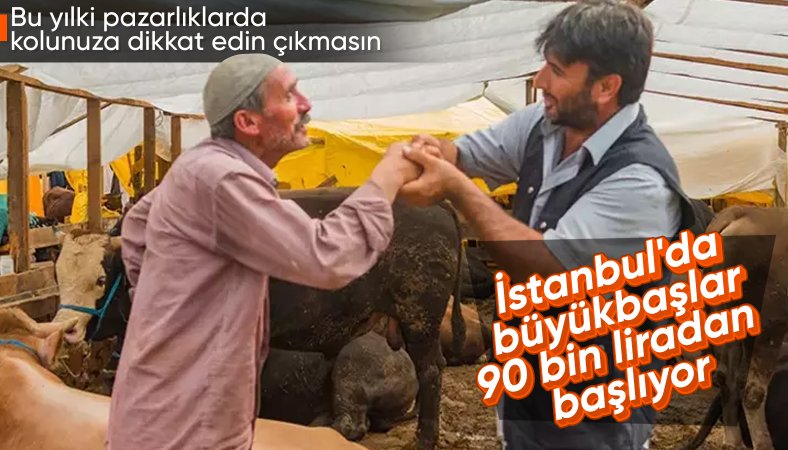İstanbul’da kurban pazarları kurulmaya başladı: İşte büyükbaş ve küçükbaş fiyatları...