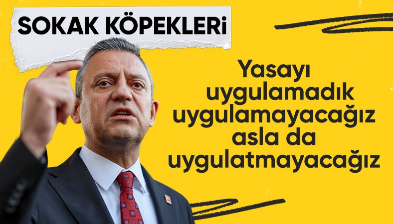 Özgür Özel: Başıboş sokak köpekleri yasasını uygulamadık, uygulamayacağız