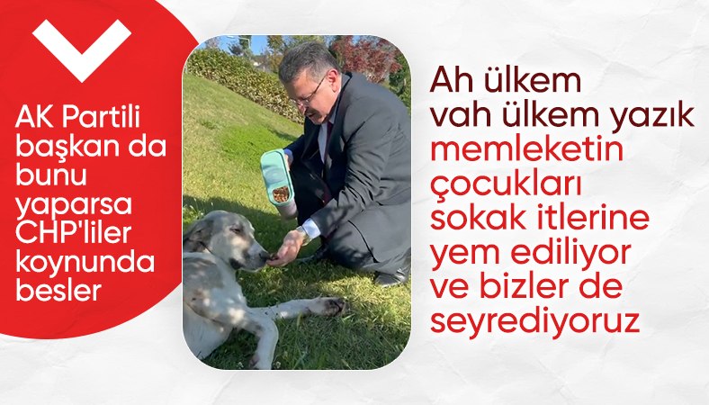 Trabzon Büyükşehir Belediye Başkanı, sokak köpeğini eliyle besledi