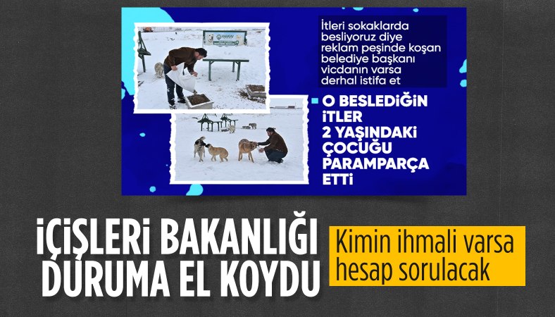 Ali Yerlikaya'dan Konya'daki köpek saldırısıyla ilgili açıklama