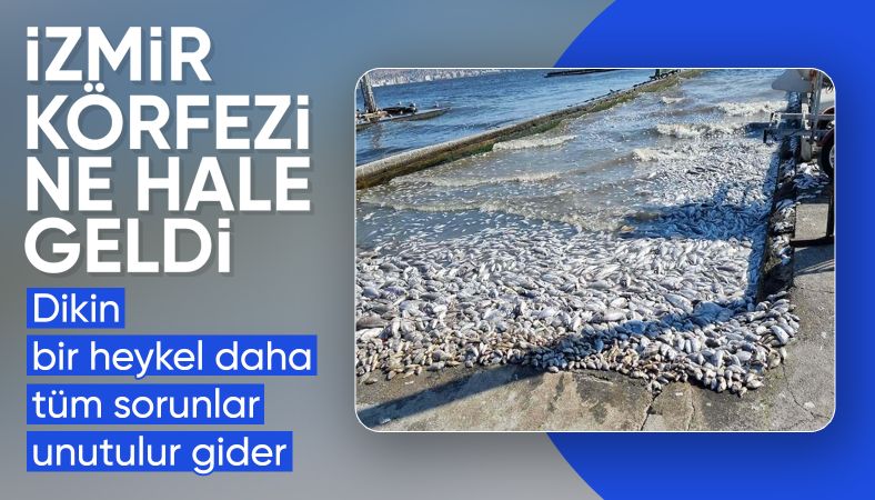 İzmir Körfezi yine alarm veriyor: Balık ölümleri artacak