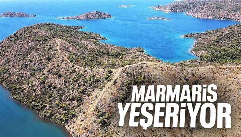 Marmaris&#039;teki yangınlar sonrası doğa yeniden can buluyor