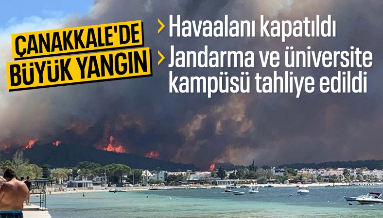 Çanakkale&#039;de orman yangını