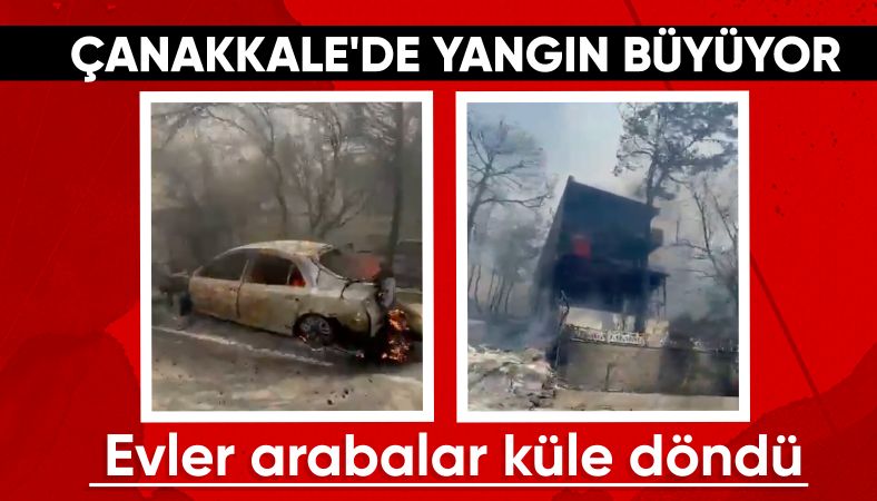 Çanakkale&#039;de orman yangını paniği: Alevler evlere ulaştı