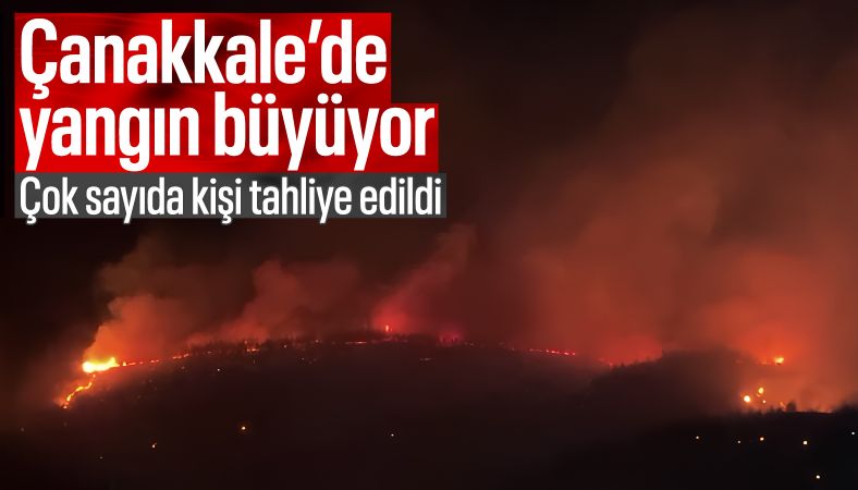 Çanakkale&#039;de orman yangınında son durum: Tahliyeler sürüyor