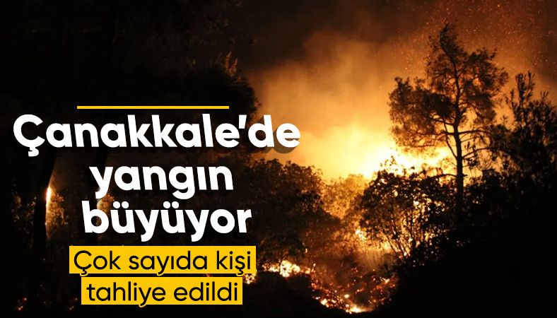 Çanakkale&#039;de orman yangınında son durum: Tahliyeler sürüyor
