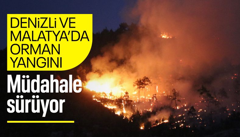 Denizli ve Malatya&#039;da çıkan orman yangınına müdahale sürüyor