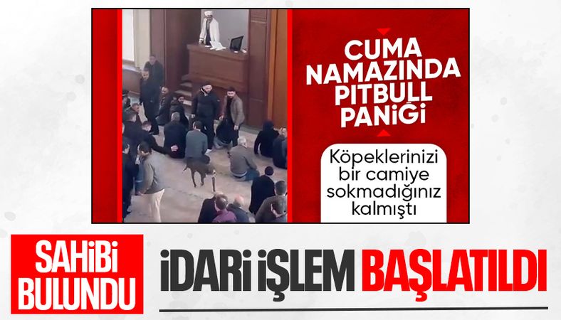 Kocaeli'de cuma namazında camiye giren pitbull cinsi köpek sahibinden alındı