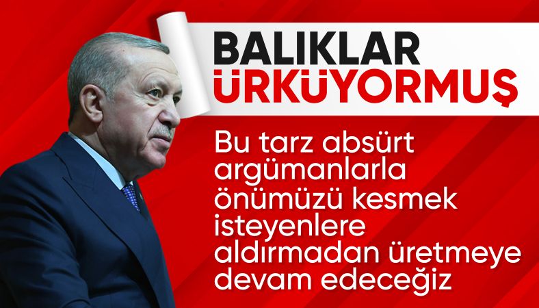 Cumhurbaşkanı Erdoğan: Balıklar rahatsız oluyor diyen bir muhalefet ile mücadele ediyoruz