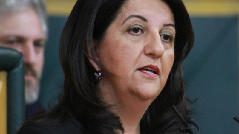 HDP'den TTB Başkanı Şebnem Korur Fincancı'ya destek mesajı