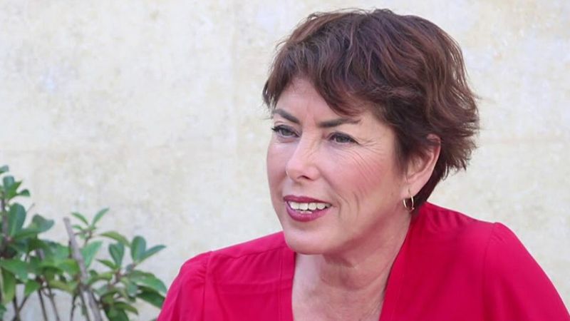 Şirin Payzın'dan muhalefete medya tepkisi