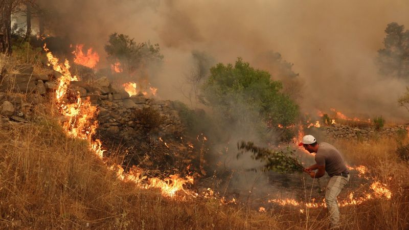 Orman yangını felaketinde son durum