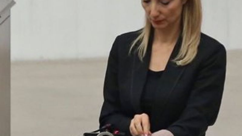 CHP'de gündem yeniden Aylin Nazlıaka'nın affı