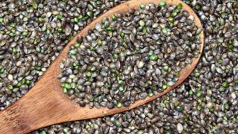 Kenevir üretiminin dünya ekonomisindeki yeri