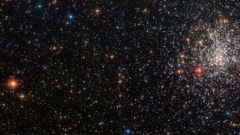 Dünya dışı yaşam ışık testiyle bulunacak