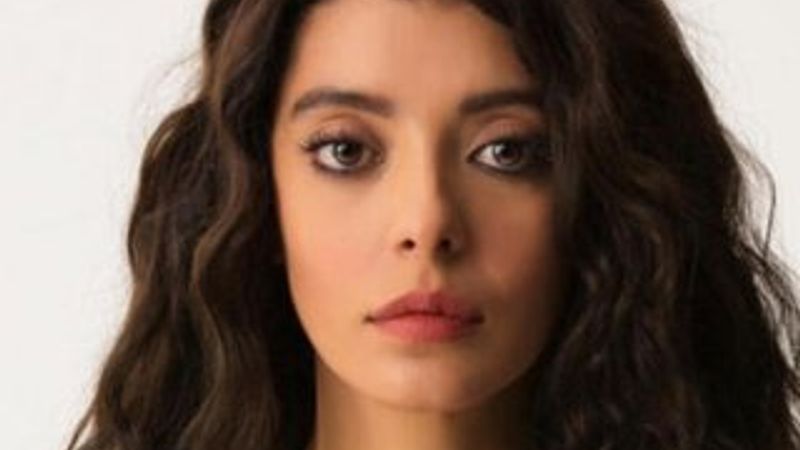 Selin Şekerci, hayranlarını üzdü